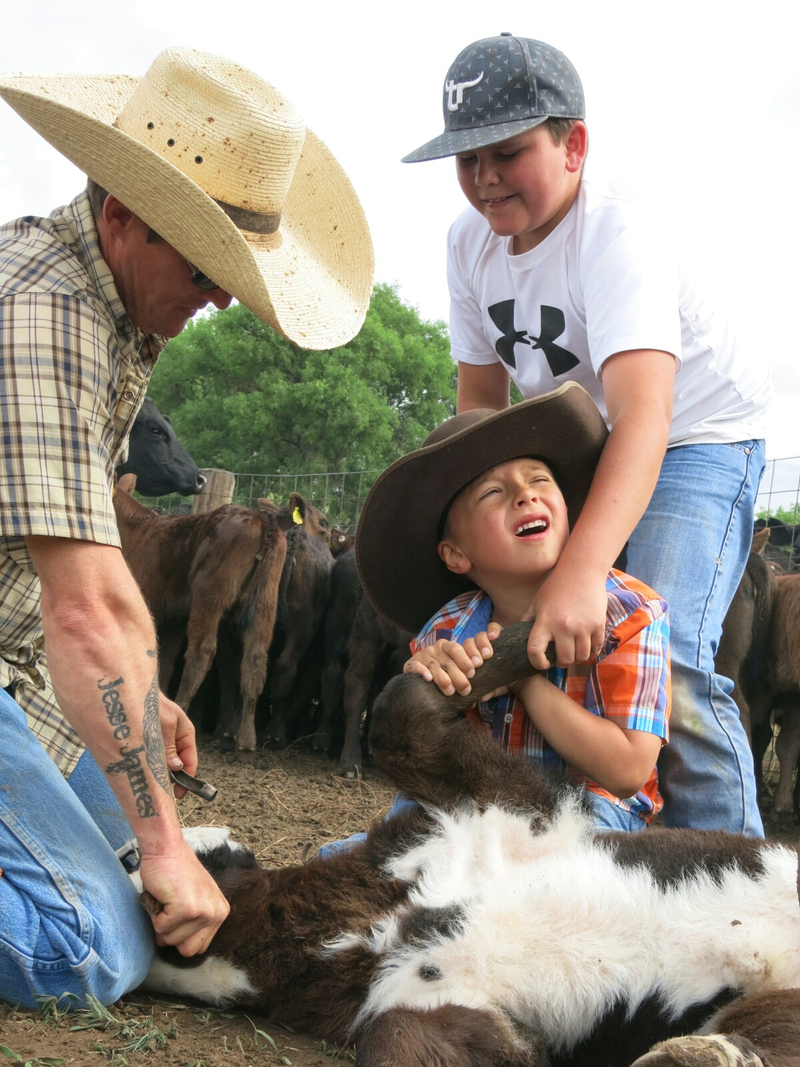 Illustration for article titled How To Brand A Cow Like A Cowboy
